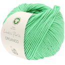 Lana Grossa Organico 154 jade (opruiming)