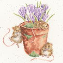 Borduurpakket dieren - Hannah Dale Garden Friends