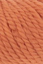 Lang Yarns Wooladdicts Fire 1000.0059 Pumpkin