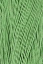 Lang Yarns Crealino 1089.0017 Green