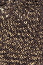 Lang Yarns Paillettes 39.0068 Brown/Gold