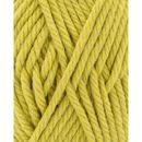 Phildar Phil Rapido Absinthe