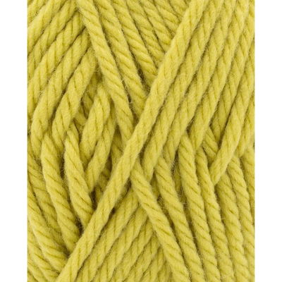 Phildar Phil Rapido Absinthe