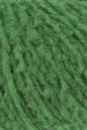 Lang Yarns Phoenix 1107.0017 Green