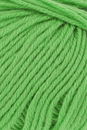 Lang Yarns Poseidon 1128.0016 Light Green
