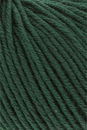 Lang Yarns Poseidon 1128.0018 Dark Green