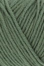 Lang Yarns Poseidon 1128.0091 Ivy