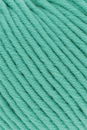 Lang Yarns Merino 70 733.0173 Lime