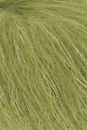 Lang Yarns Delizia 1097.0098 Oliv