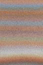 Lang Yarns Orion 1121.0003 Pastel/Brown/Petrol