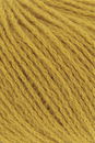 Lang Yarns Cashmere Premium 78.0050 Gold