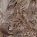 Veer 8 - 10 cm (ca) - bruin gestreept