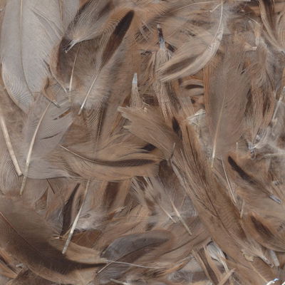 Veer 8 - 10 cm ca - bruin gestreept