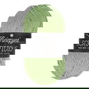 Scheepjes Scrumptious - 318 Pistachio Bundt Cake