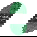 Scheepjes Scrumptious - 319 Matcha Chocolate Brownie