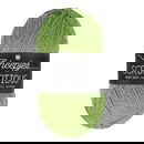 Scheepjes Scrumptious - 326 Matcha Chiffon Cake