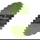 Scheepjes Scrumptious - 336 Green Tea Éclairs