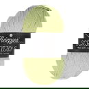 Scheepjes Scrumptious - 337 Key Lime Pie