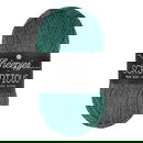 Scheepjes Scrumptious - 338 Spirulina Bites