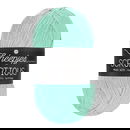 Scheepjes Scrumptious - 339 Grasshopper Pie