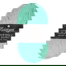 Scheepjes Scrumptious - 340 Mint Whoopie Pie