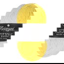 Scheepjes Scrumptious - 341 Custard Pie