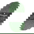 Scheepjes Scrumptious - 344 Pistachio Mafroukeh