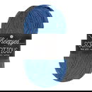 Scheepjes Scrumptious - 356 Concord Grape Pie