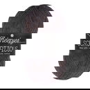 Scheepjes Scrumptious - 361 Blueberry Chocolate Tart