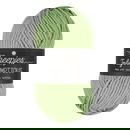 Scheepjes Truly Scrumptious - 318 Pistachio Bun. Cake