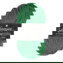 Scheepjes Truly Scrumptious - 319 Matcha Choc Brownie