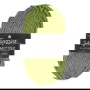 Scheepjes Truly Scrumptious - 325 Baklava