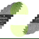 Scheepjes Truly Scrumptious - 326 Matcha Chiffon Cake