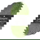 Scheepjes Truly Scrumptious - 336 Green Tea Éclairs