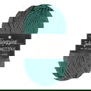 Scheepjes Truly Scrumptious - 338 Spirulina Bites