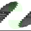 Scheepjes Truly Scrumptious - 344 Pistachio Mafroukeh