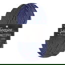 Scheepjes Truly Scrumptious - 351 Blackb Plum Galette