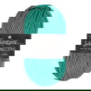 Scheepjes Truly Scrumptious - 353 Mint Choco. Cookie