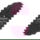 Scheepjes Truly Scrumptious - 368 Cabernet Gelato