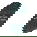 Scheepjes Truly Scrumptious - 371 Apple Kale Cake