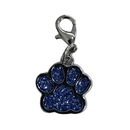 Bedeltje pootafdruk blauw