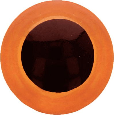 Ogen 8 mm oranje met zwarte pupil 5 paar 