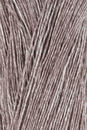 Lang Yarns Crealino 1089.0168 Dark Brown