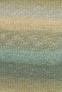 Lang Yarns Silk Color 1141.0003 Olive/Beige (op=op)