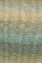 Lang Yarns Silk Color 1141.0003 Olive/Beige