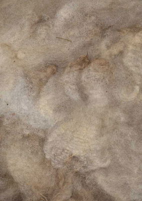 Wol onbewerkt licht ca 1500 gram 