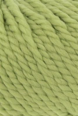 Lang Yarns Wooladdicts Fire 1000.0117 Kale