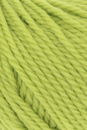 Lang Yarns Wooladdicts Glory 1061.0116 Matcha