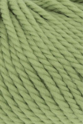 Lang Yarns Wooladdicts Glory 1061.0117 Kale