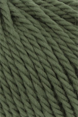 Lang Yarns Wooladdicts Glory 1061.0118 Spirulina